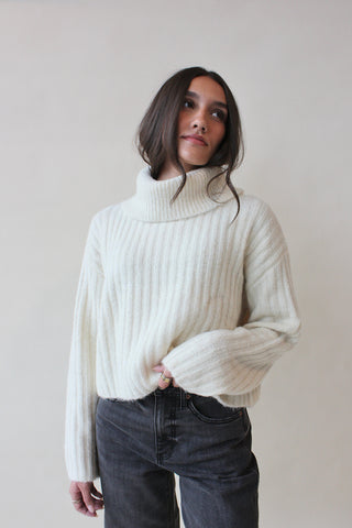 Cropped Plush Turtleneck Knit