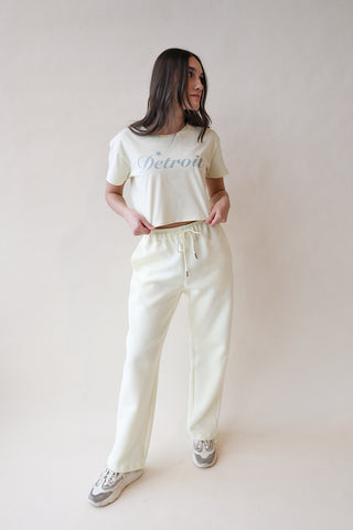 Detroit Cropped Box Tee