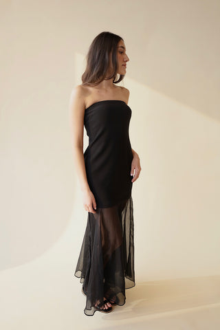 Strapless Maxi Sheer Dress
