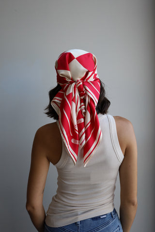 Detroit Hockey Town Scarf