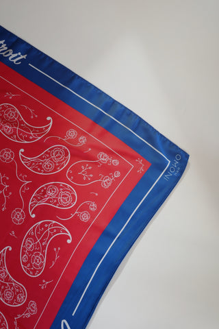 Detroit BBall Love Scarf